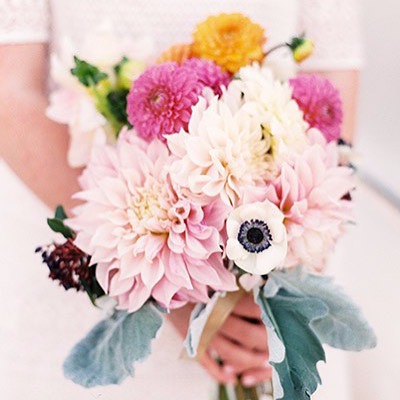 Spotlight on Flora Pop