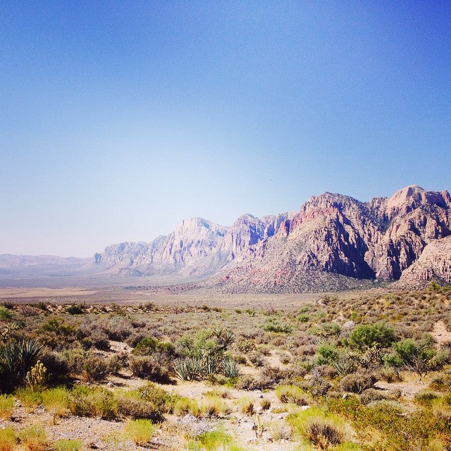 What Happens Here, Stays Here