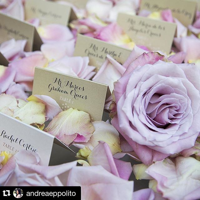 Metallic Escort Cards