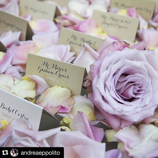 Metallic Escort Cards