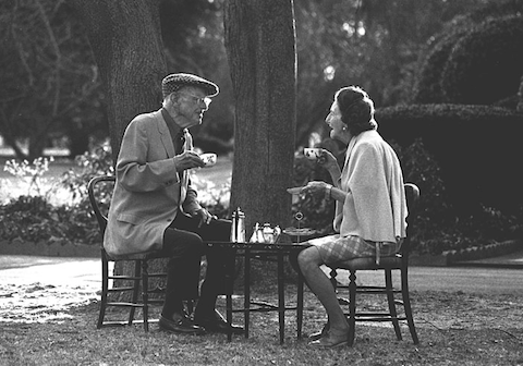 Tea Las Vegas Gift Store